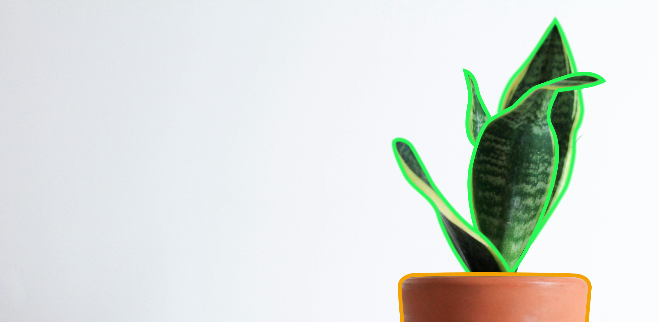 Иллюстрация к статье - Разбиваем сад в квартире: какое кашпо выбрать Разбиваем сад в квартире: какое кашпо выбрать